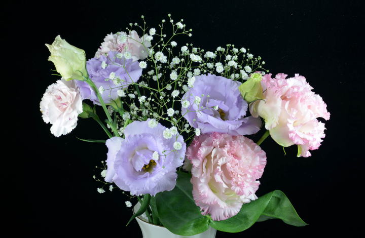 Cut Flowers