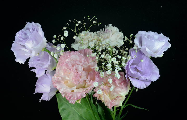 Cut Flowers